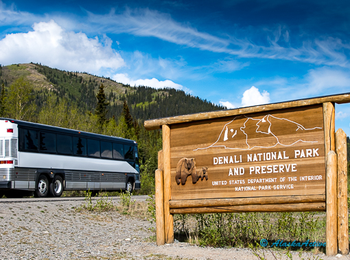 Denali Park Motorcoach
